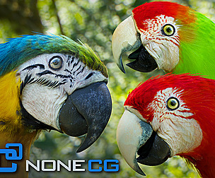 Animated Parrots Pack