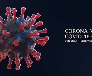 Coronavirus Covid-19 Virus PBR