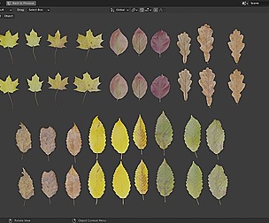 Fall Autumn Leaves Pack