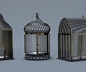 Bird cage Collection