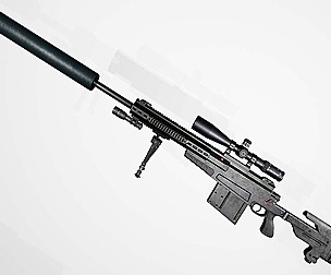 Sniper Rifle AX50 modulare Gun Weapon