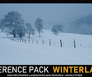Winterland