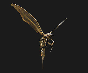 Small Angry Wasp