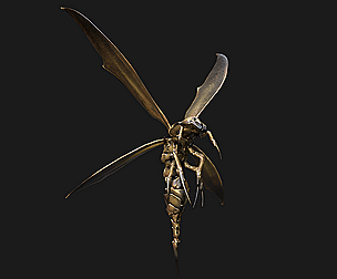 Angry Wasp