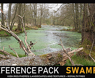 Swamp