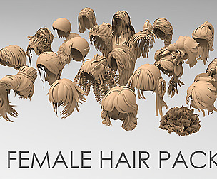 25 Female hair pack 3