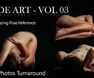 Nude Art Reference - Vol 03