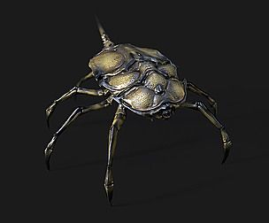 Insect Crawler