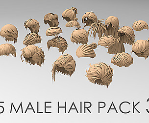 25 Male hair pack 3