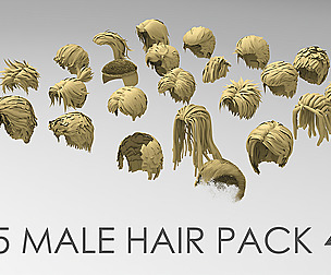 25 Male hair pack 4