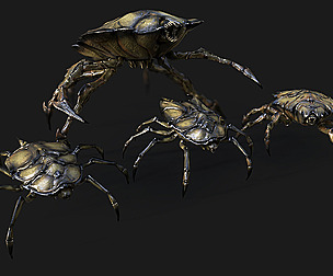 Insect Crawlers Collection