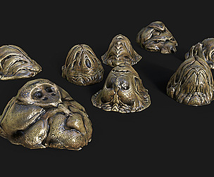 Cocoons