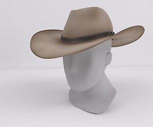 Stetson Hat