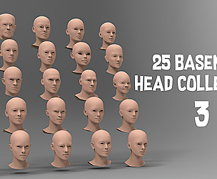 25 Basemesh head collection 3