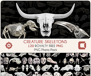 PNG Photo Pack - Creatures Skeletons