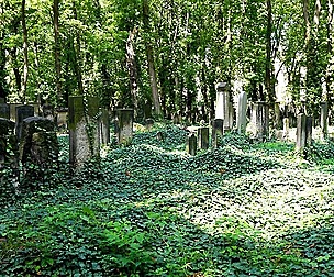 Overgrown Cemetery