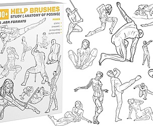 300 HELP BRUSHES vol.2 STUDY [ ANATOMY OF POSING ]