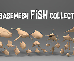 25 Basemesh fish collection