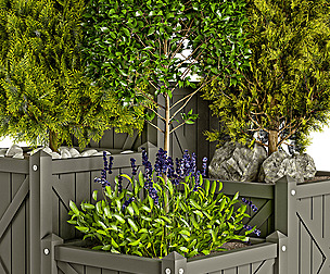 Outdoor_plants_001