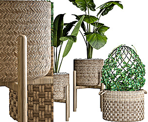 Indoor_plants_set 001