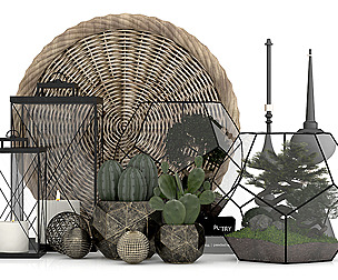Indoor_plants_set 002