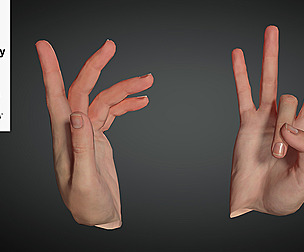 Realistic Hand VR Low poly