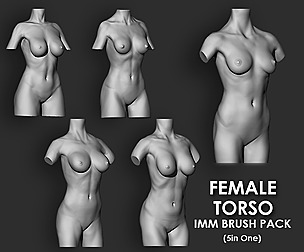 Female Torso IMM Brush Pack (5 in One)