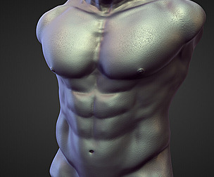 TORSO16 high poly sculpt