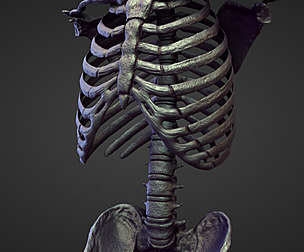 TORSO20 high poly sculpt