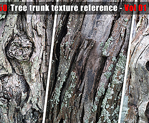 Tree trunk texture reference - Vol 01