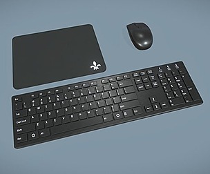 Computer Mouse and Keyboard