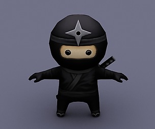 Ninja black