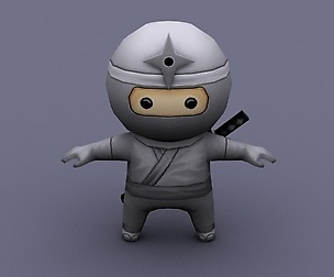 Ninja white