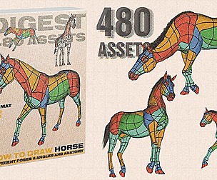 HOW TO DROW HORSE: 480 Assets