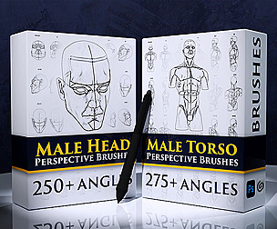 Male Bundle Perspective Brushes