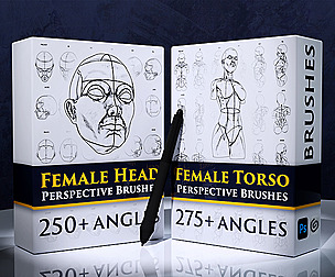 Female Bundle Perspective Brushes