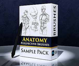 Anatomy Brushes Sample Pack