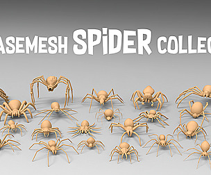 25 basemesh spider collection