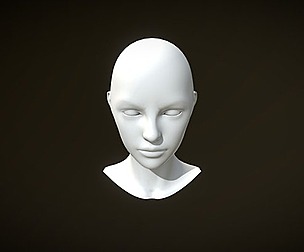 Free Female Head Mesh