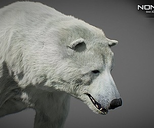 Animated Polar Bear