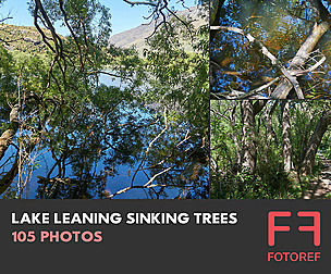 105 photos of Lake Leaning Sinking Trees