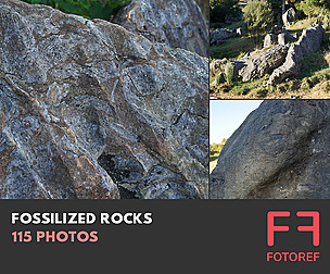 115 photos of Fossilized Rocks