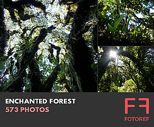 573 photos of Enchanted Forest