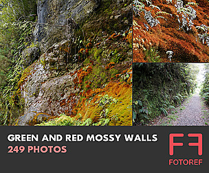 249 photos of Green and Red Mossy Walls