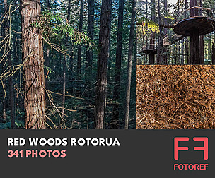 341 photos of Red Woods Rotorua