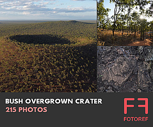 215 photos of Bush Overgrown Crater