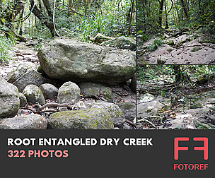 322 photos of Root Entangled Dry Creek