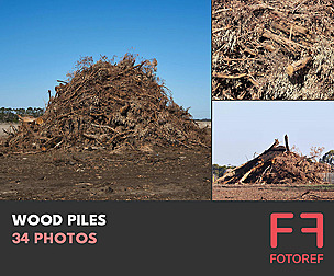 34 photos of Wood Piles