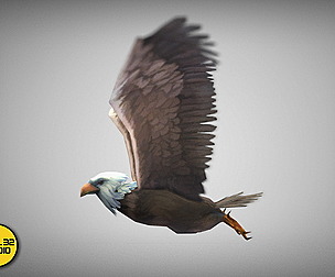 Dungeon Fantasy Monster - Eagle