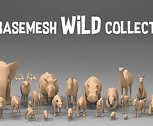 25 Basemesh wild collection